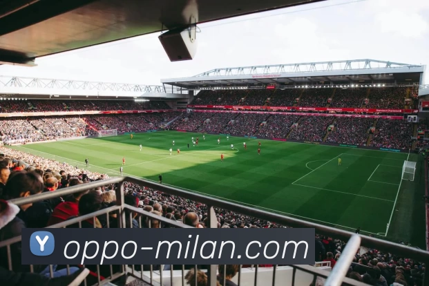 米兰体育APP 封面图